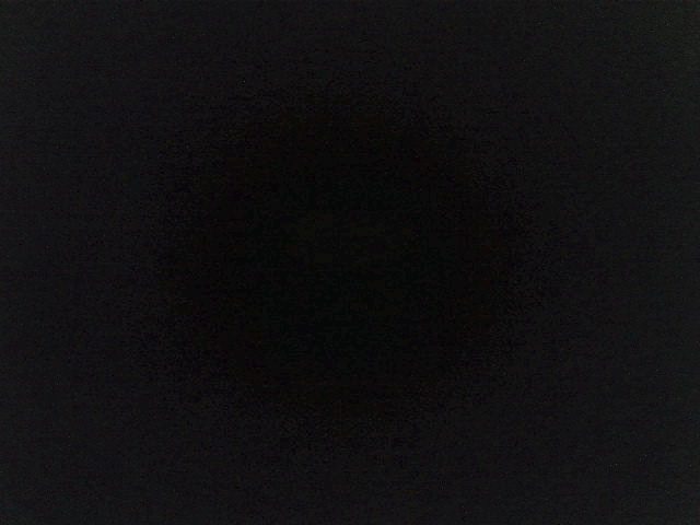 RGB of plant00 2026_04_26_235953