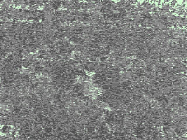 ExG (녹색지수) of plant01 2026_02_06_072339