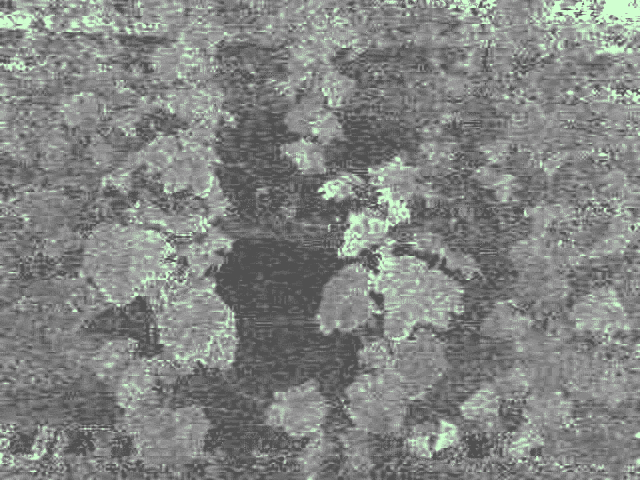 ExG (녹색지수) of plant01 2026_03_09_182906